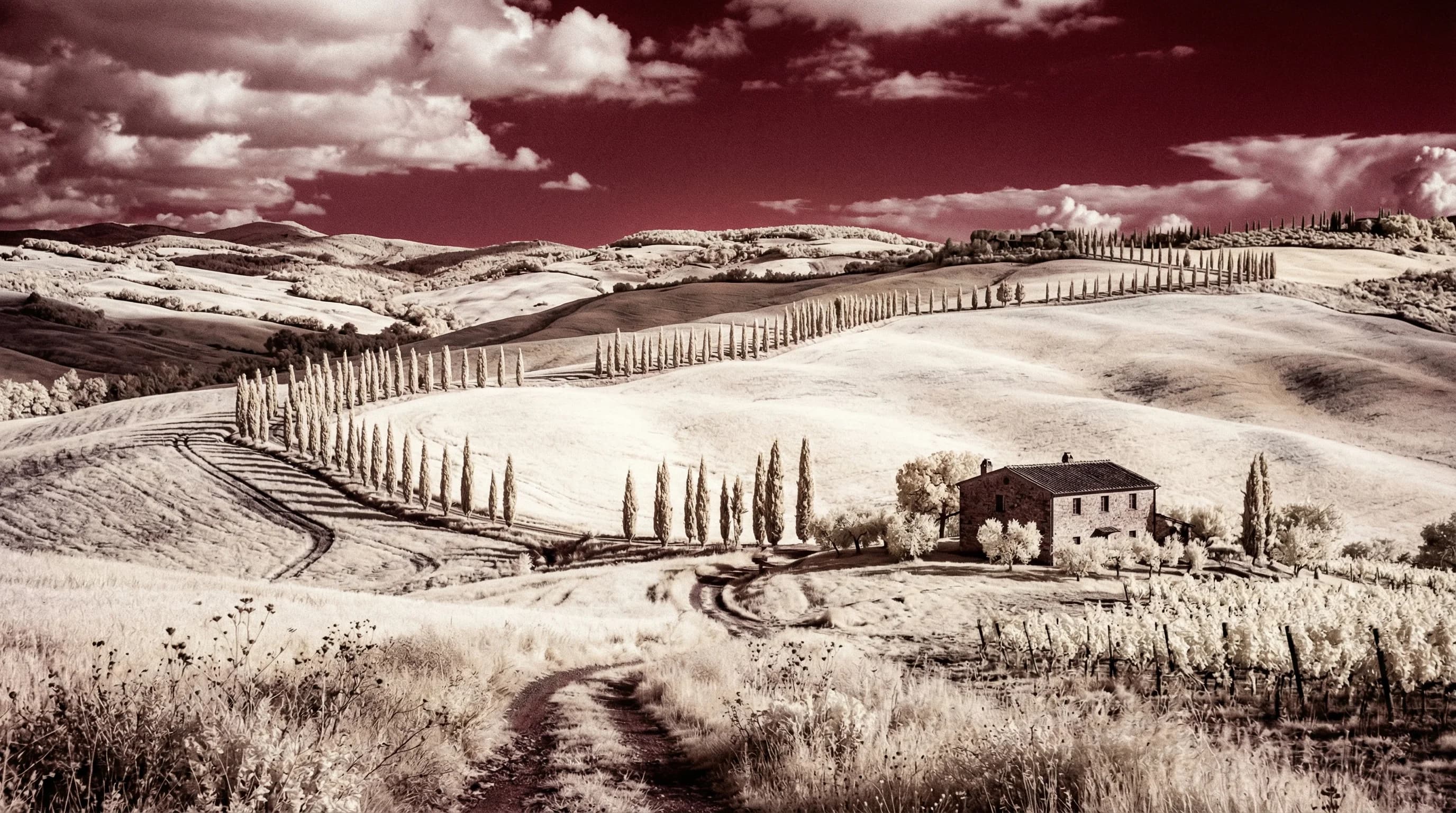 Gallery image by Brompter